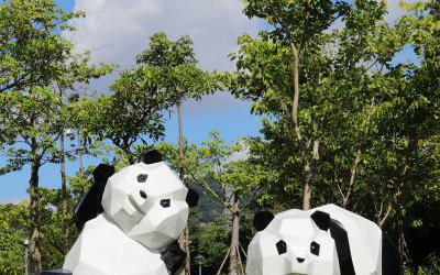 花園廣場(chǎng)擺放幾何創(chuàng)意玻璃鋼卡通熊貓雕塑
