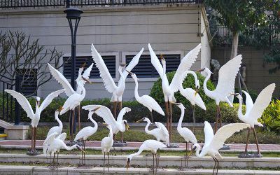 公園廣場(chǎng)一群玻璃鋼展翅的仿真動(dòng)物仙鶴雕塑